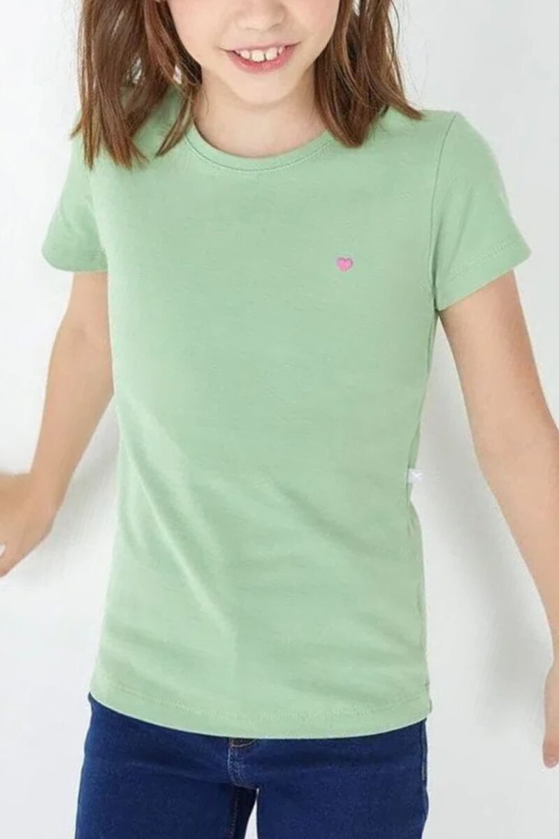 etiqueta-kids-comprar-moda-infantil-online-comprar-roupas-infantis-na-internet-roupa-de-meninas-blusa-basica-infantil-manga-curta-slim-com-bordado-hering-5CMP (13)